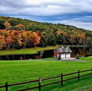 Meet your Posher, Aliza